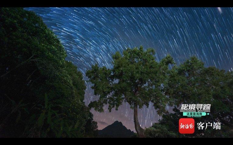 燃烧吧大脑免广告最新版